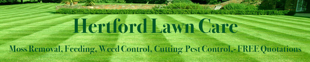 Hertford Lawn Care